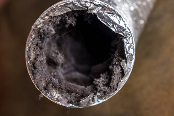 Best Air Duct Cleaning Company Near Me  in Crugers, NY